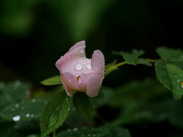 Comprehensive manual: installing a gray water system at your exeter residence step-by-step